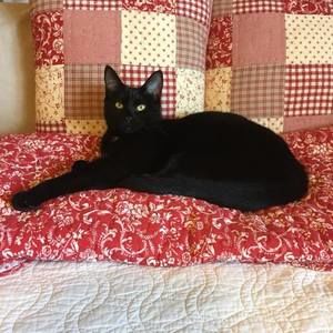 Meet your Posher, Beverly